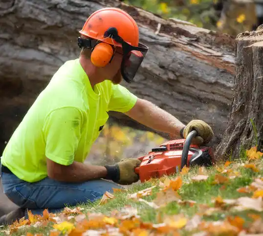 tree services Granville